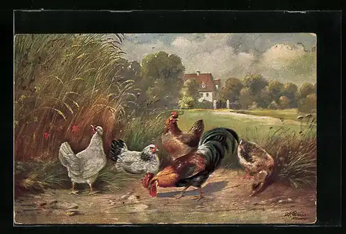 Künstler-AK Alfred Schönian: Hühner und eine Ente