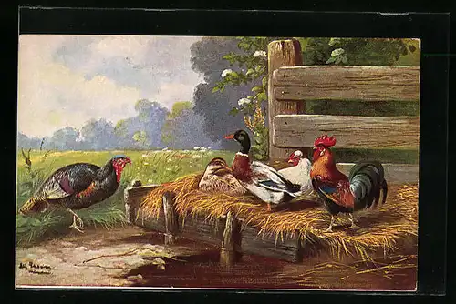 Künstler-AK Alfred Schönian: Hahn mit Hühnern, Ente und Truthahn