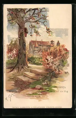 Künstler-AK P. Schmohl: Nürnberg, Blick auf die Burg