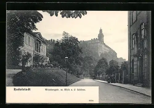 AK Rudolstadt, Weinbergstrasse mit Blick a. d. Schloss