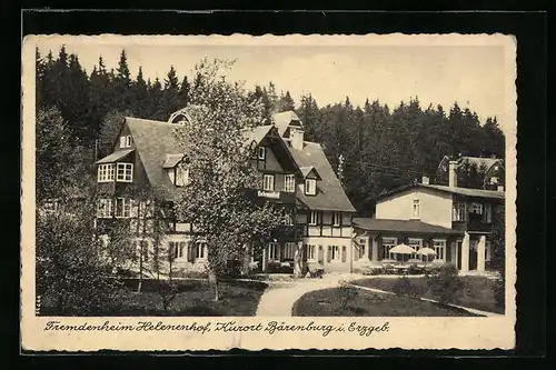 AK Bärenburg /Erzgebirge, Fremdenheim Helenenhof