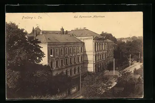 AK Freiberg i. Sa., Kgl. Gymnasium Albertinum
