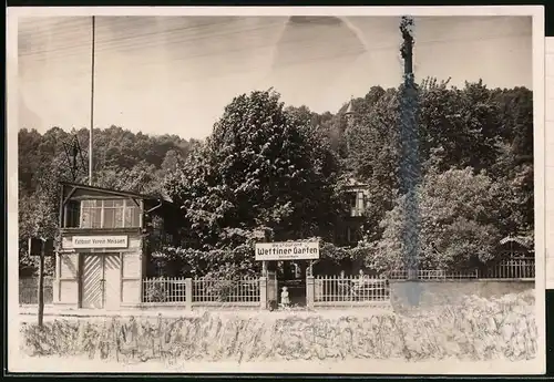 Fotografie Brück & Sohn Meissen, Ansicht Meissen i. Sa., Restaurant Wettiner Garten mit Faltboot-Verein Meissen