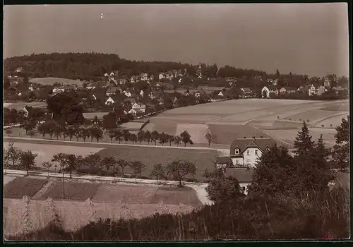 Fotografie Brück & Sohn Meissen, Ansicht Hartha-Hintergersdorf, Blick auf den Ort mit Feldern