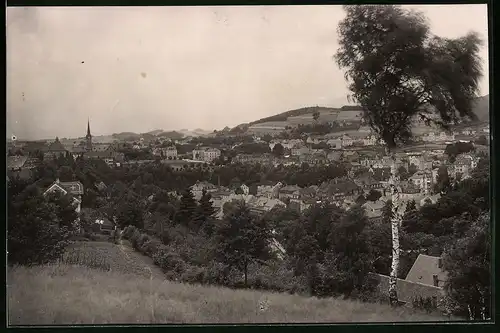 Fotografie Brück & Sohn Meissen, Ansicht Sebnitz i. Sa., Blick auf die Stadt vom Berg aus gesehen