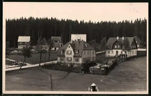 Fotografie Brück & Sohn Meissen, Ansicht Steinbach, Blick in den Ort mit Wohnhäusern