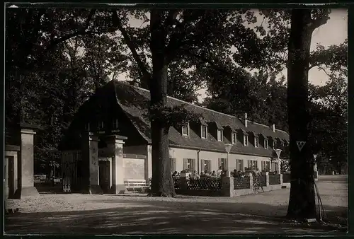 Fotografie Brück & Sohn Meissen, Ansicht Moritzburg i. Sa., Partie an der Kurfürstliche Waldschänke