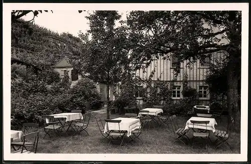 Fotografie Brück & Sohn Meissen, Ansicht Seusslitz, Gartenpartie der Weinstube zur Post