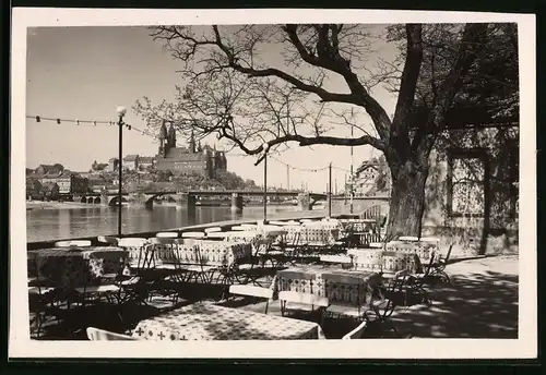 Fotografie Brück & Sohn Meissen, Ansicht Meissen i. Sa., Blick vom Garten des Restaurant Elbschlösschen auf die Stadt