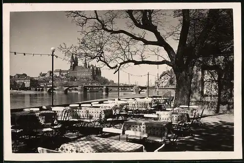 Fotografie Brück & Sohn Meissen, Ansicht Meissen i. Sa., Blick vom Etablissement Elbschlösschen auf die Stadt