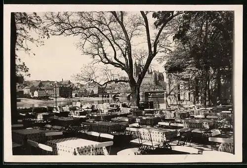 Fotografie Brück & Sohn Meissen, Ansicht Meissen i. Sa., Blick vom Cafe Elbschlösschen auf die Stadt