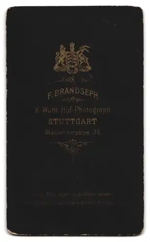 Fotografie F. Brandseph, Stuttgart, Marienstrasse 36., Junger Mann mit üppigem Vollbart von der Seite