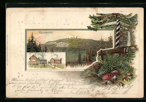 Passepartout-Lithographie Feldberg, Hotel auf dem Feldberg, Panorama