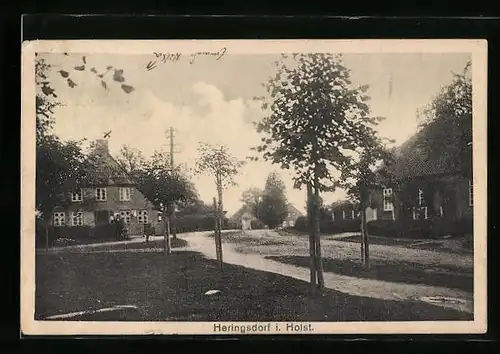 AK Heringsdorf i. Holst., Ortspartie