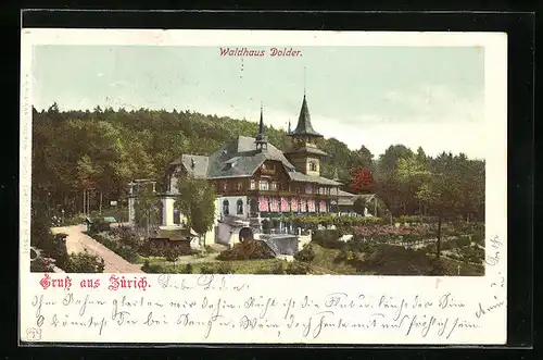 AK Zürich, Waldhaus Dolder