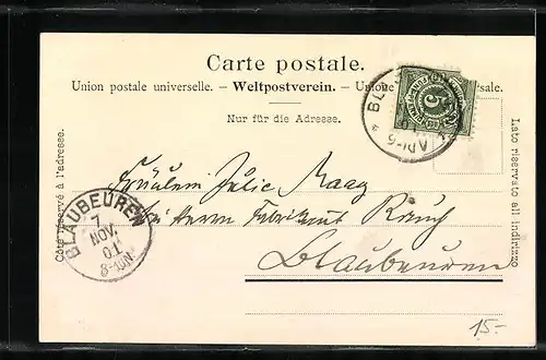 AK Zürich, Blick zum Waldhaus Dolder