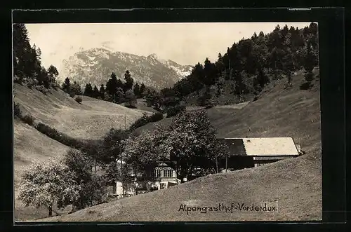 AK Vorderdux, Blick auf den Alpengasthof-Vorderdux