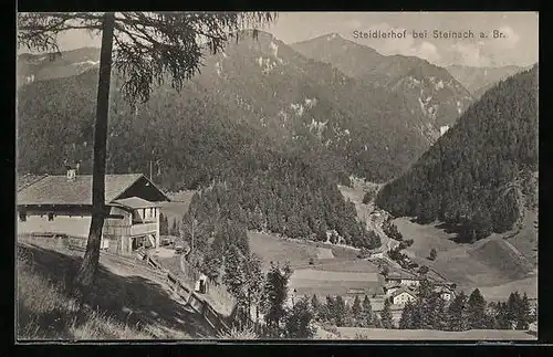 AK Steinach a. Brenner, Blick auf den Steidlerhof