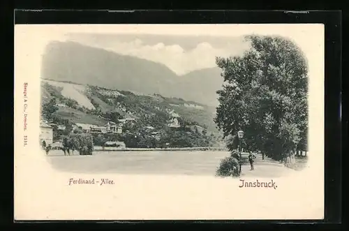 AK Innsbruck, Ferdinand-Allee mit Mann