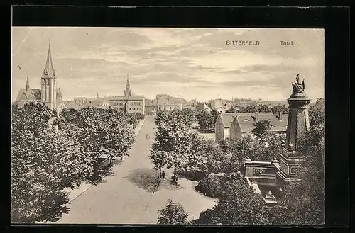 AK Bitterfeld, Totalansicht mit Strassenpartie und Denkmal