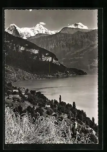 AK Merligen, Bucht von Merligen am Thunersee mit Eiger, Mönch und Jungfrau