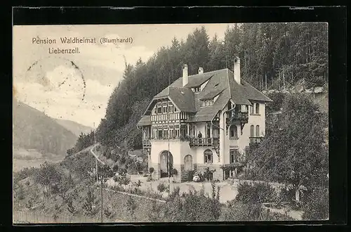 AK Liebenzell, Hotel-Pension Waldheimat (Blumhardt)
