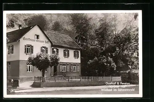 AK Wildbad /Schwarzw., Gasthaus und Pension Grüner Hof mit Strasse
