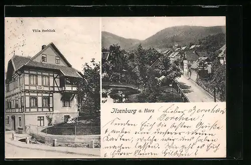 AK Ilsenburg a. Harz, Hotel Villa Seeblick, Strassenpartie aus der Vogelschau