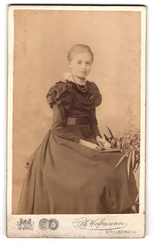 Fotografie Ph. Hofmann, Stollberg, am Bahnhof, Junges Mädchen in elegantem schwarzen Kleid