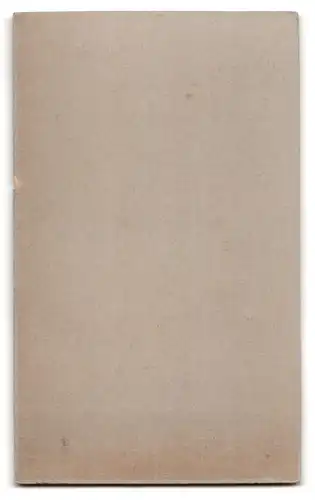 Fotografie O. Zeumer, Crimmitschau, Junger Mann mit Schnurrbart und Krawatte