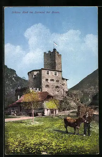 AK Schloss Ried b. Bozen, Schlossturm mit Wiesen