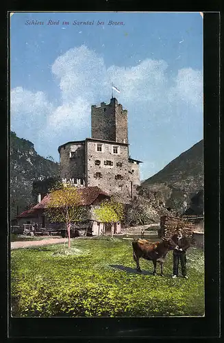 AK Schloss Ried b. Bozen, Schlossturm mit Wiesen