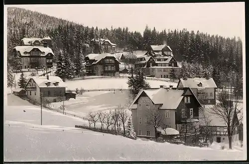 Fotografie Brück & Sohn Meissen, Ansicht Bärenfels i. Erzg., Blick auf die Villen im verschneiten Ort