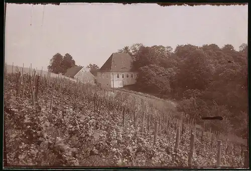 Fotografie Brück & Sohn Meissen, Ansicht Meissen i. Sa., Blick auf das Gasthaus Thürmers Weinschank