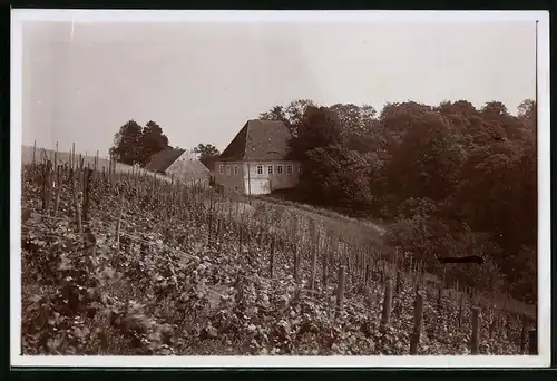 Fotografie Brück & Sohn Meissen, Ansicht Meissen i. Sa., Blick nach dem Gasthaus Thürmers Weinschank