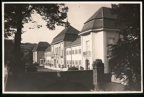 Fotografie Brück & Sohn Meissen, Ansicht Bad Elster, Partie am Albertbad mit Brücke von 1908