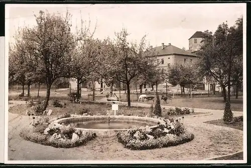 Fotografie Brück & Sohn Meissen, Ansicht Seusslitz, Blick in Bräunigs Wildpark mit Ziegengehege