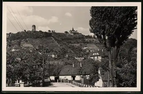 Fotografie Brück & Sohn Meissen, Ansicht Radebeul-Oberlössnitz, Partie im Ortsteil mit Blick zum Bismarckturm, Spitzhaus