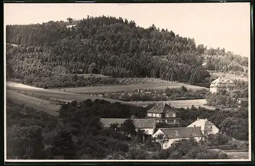 Fotografie Brück & Sohn Meissen, Ansicht Kamenz i. Sa., Blick vom Ort auf den Hutberg mit Aussichtsturm