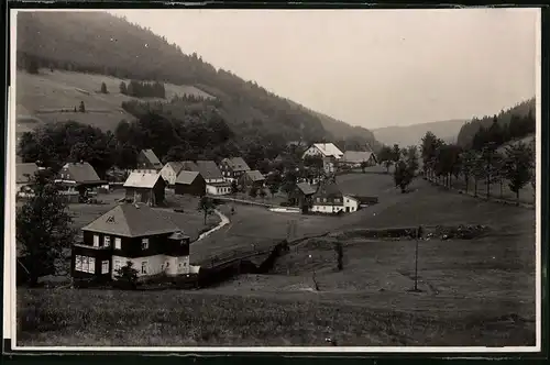 Fotografie Brück & Sohn Meissen, Ansicht Wildenthal i. Erzg., Blick in den Ort mit Wohnhäusern