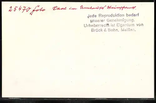 Fotografie Brück & Sohn Meissen, Ansicht Meissen-Spaar, Innenansicht von Umlaufts Weinstuben