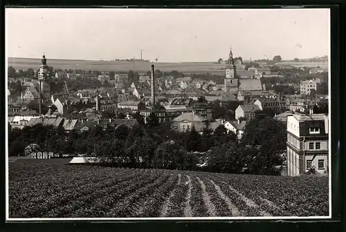 Fotografie Brück & Sohn Meissen, Ansicht Döbeln i. Sa., Blick vom Feld nach der Stadt