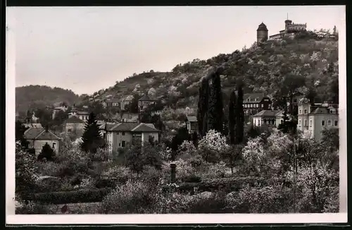 Fotografie Brück & Sohn Meissen, Ansicht Kötzschenbroda, Blick in den Ort mit der Friedensburg