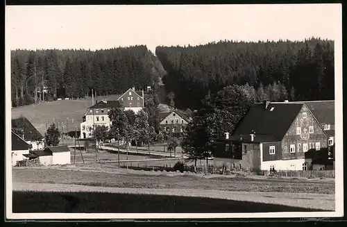 Fotografie Brück & Sohn Meissen, Ansicht Steinbach b. Johanngeorgenstadt, Blick in den Ort