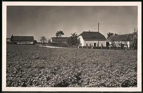 Fotografie Brück & Sohn Meissen, Ansicht Schänitz a. d. Elbe, Blick in den Ort