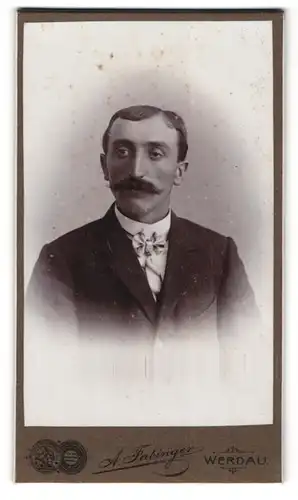 Fotografie A. Fabinger, Werdau, Junger bürgerlicher Mann mit Schnurrbart