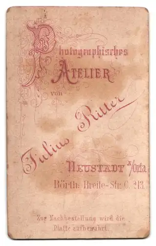 Fotografie Julius Ritter, Neustadt a. Orla, Breite-Strasse 213 C, Junger Mann im Anzug mit Fliege