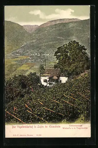 AK Laien im Eisacktale, Der Vogelweiderhof