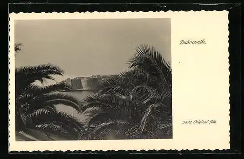 AK Dubrovnik, Blick auf den Ort durch die Palmen
