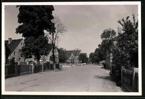 Fotografie Brück & Sohn Meissen, Ansicht Schmannewitz, Partie in der Torgauer Strasse